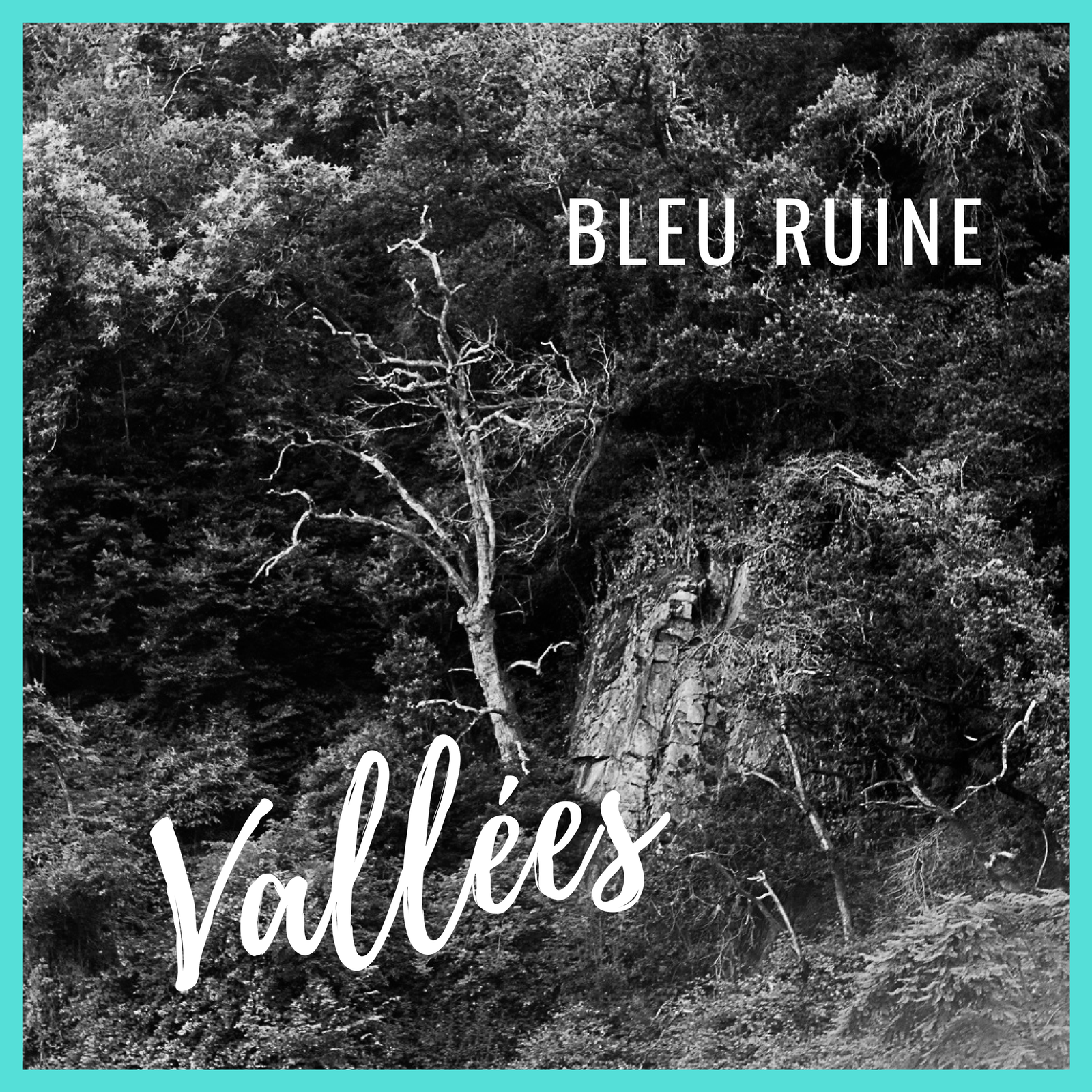 Vallées-couverture